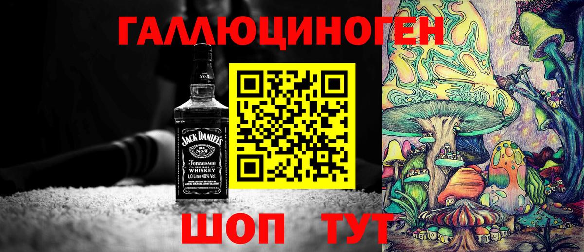 Псилоцибиновые грибы мицелий Дербент
