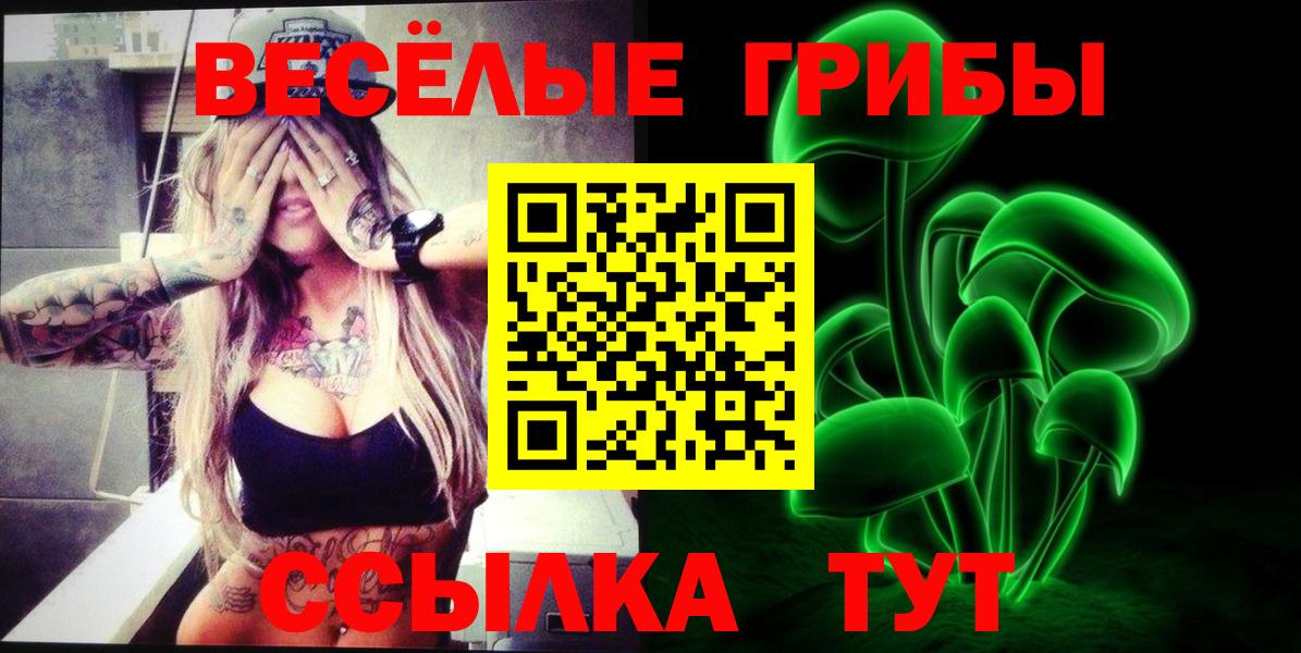 Галлюциногенные грибы Psilocybe  Вход с VPN  дарнет шоп  Дербент 