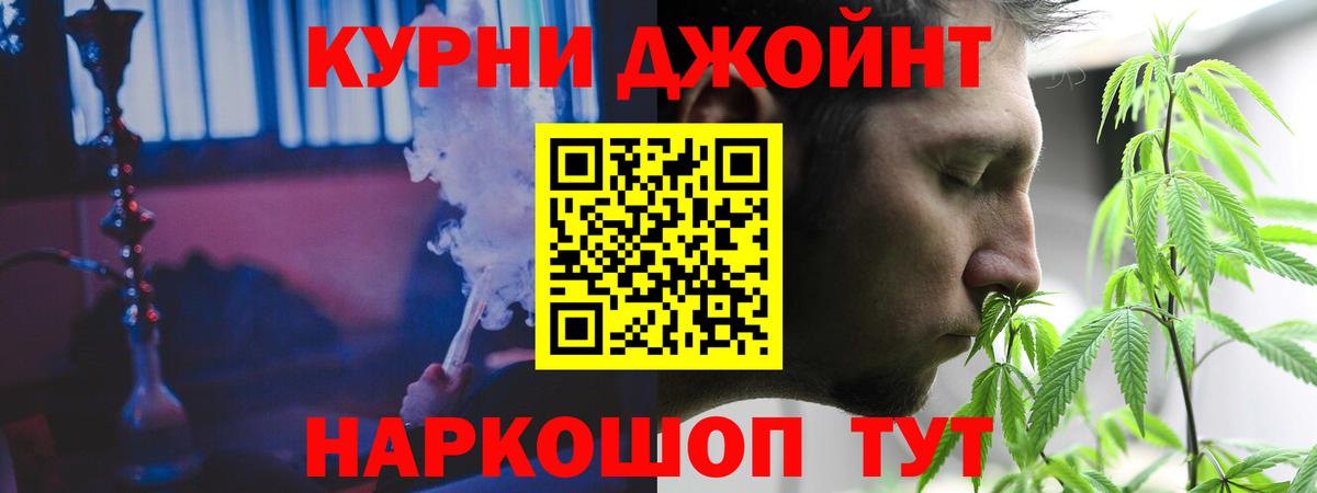 Каннабис конопля Дербент